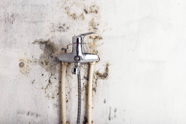 Reliable Pratt, KS Mold Removal Solutions