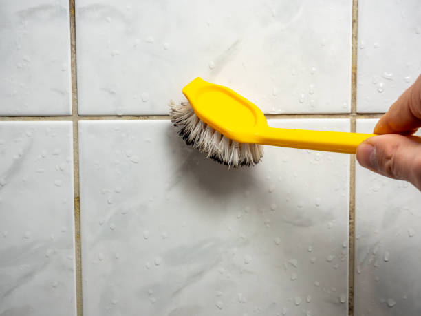 Best Affordable Mold Removal  in Pratt, KS