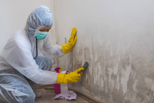 Best Crawl Space Mold Removal  in Pratt, KS