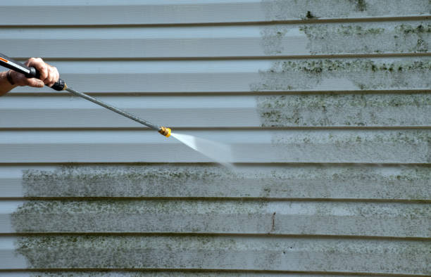 Best Residential Mold Removal  in Pratt, KS