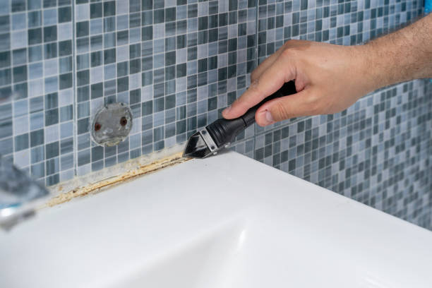 Best Affordable Mold Removal  in Pratt, KS