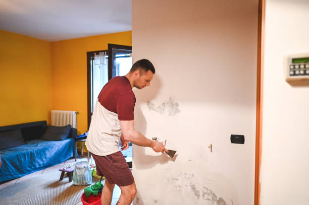 Best Certified Mold Removal  in Pratt, KS